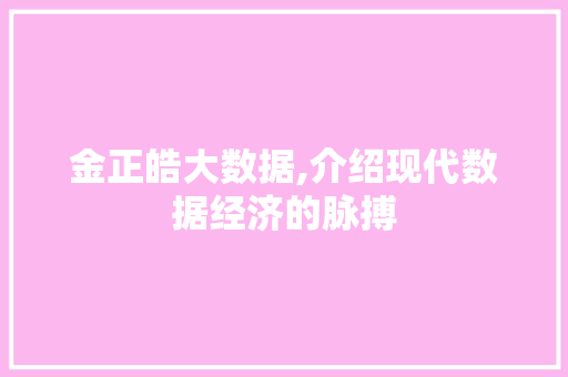 金正皓大数据,介绍现代数据经济的脉搏 GoogleSEO