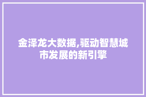 金泽龙大数据,驱动智慧城市发展的新引擎