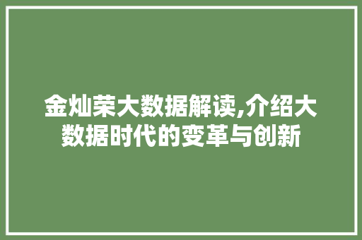 金灿荣大数据解读,介绍大数据时代的变革与创新 神马SEO