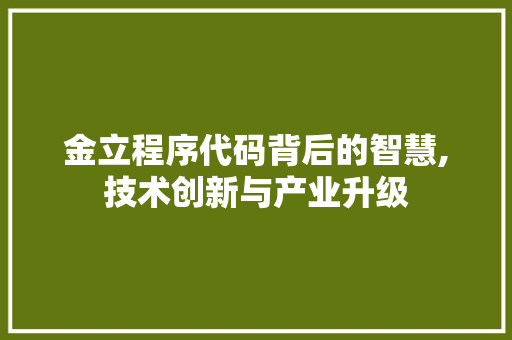 金立程序代码背后的智慧,技术创新与产业升级 GoogleSEO