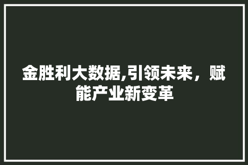 金胜利大数据,引领未来，赋能产业新变革 GoogleSEO