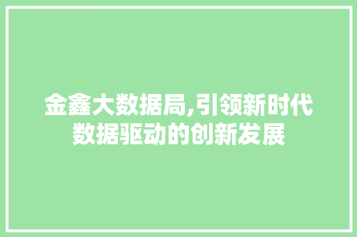 金鑫大数据局,引领新时代数据驱动的创新发展 神马SEO