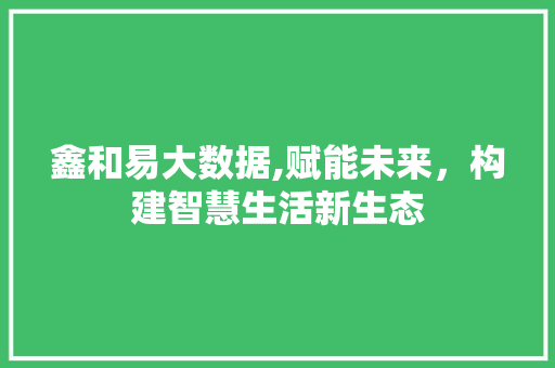 鑫和易大数据,赋能未来，构建智慧生活新生态