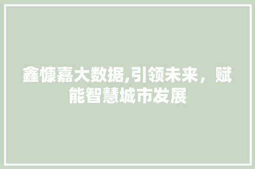 鑫慷嘉大数据,引领未来，赋能智慧城市发展 神马SEO
