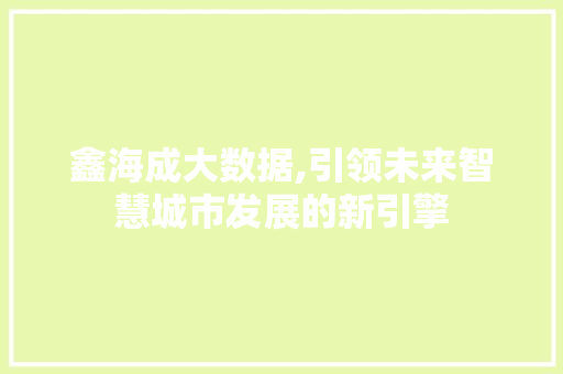鑫海成大数据,引领未来智慧城市发展的新引擎 必应SEO