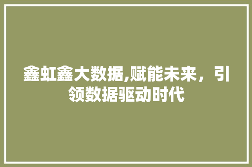 鑫虹鑫大数据,赋能未来，引领数据驱动时代 必应SEO