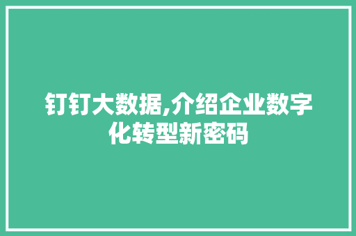 钉钉大数据,介绍企业数字化转型新密码 GoogleSEO