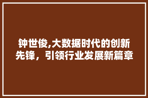 钟世俊,大数据时代的创新先锋，引领行业发展新篇章 必应SEO
