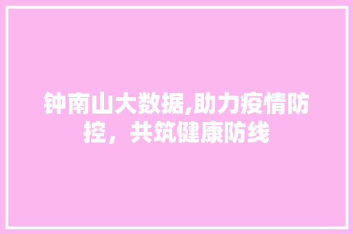 钟南山大数据,助力疫情防控，共筑健康防线 GoogleSEO