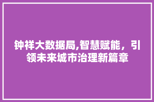钟祥大数据局,智慧赋能，引领未来城市治理新篇章 GoogleSEO