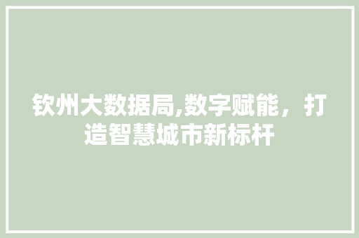 钦州大数据局,数字赋能，打造智慧城市新标杆 神马SEO