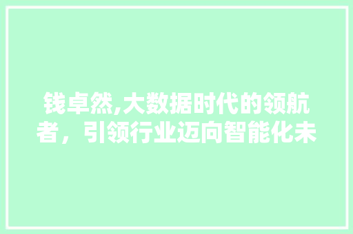 钱卓然,大数据时代的领航者，引领行业迈向智能化未来 GoogleSEO