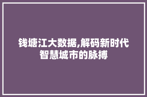 钱塘江大数据,解码新时代智慧城市的脉搏