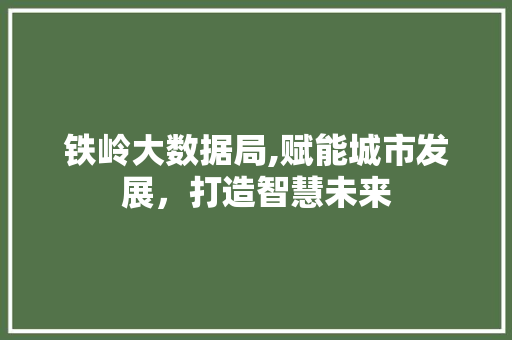 铁岭大数据局,赋能城市发展，打造智慧未来 GoogleSEO