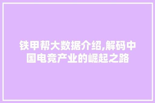 铁甲帮大数据介绍,解码中国电竞产业的崛起之路