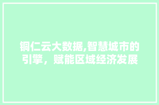 铜仁云大数据,智慧城市的引擎，赋能区域经济发展 神马SEO