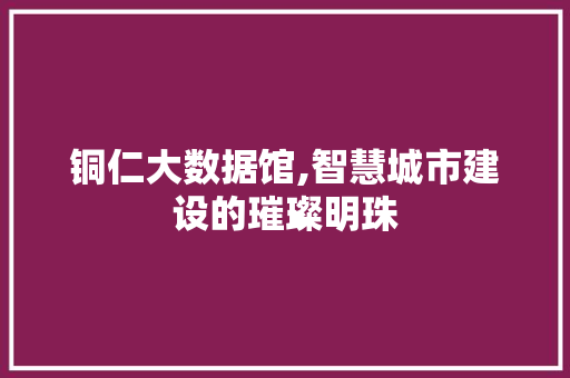 铜仁大数据馆,智慧城市建设的璀璨明珠 必应SEO