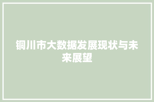 铜川市大数据发展现状与未来展望 GoogleSEO