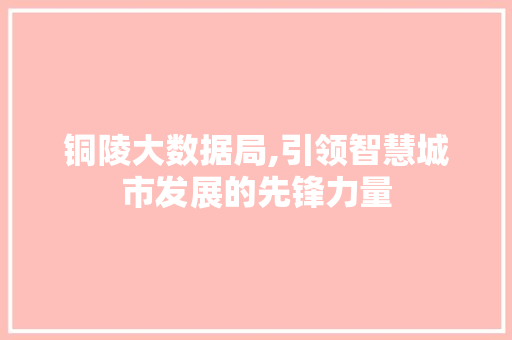 铜陵大数据局,引领智慧城市发展的先锋力量 神马SEO