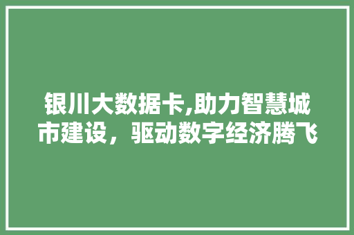 银川大数据卡,助力智慧城市建设，驱动数字经济腾飞 必应SEO