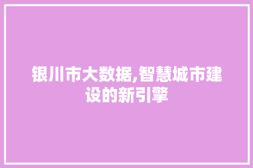 银川市大数据,智慧城市建设的新引擎 神马SEO