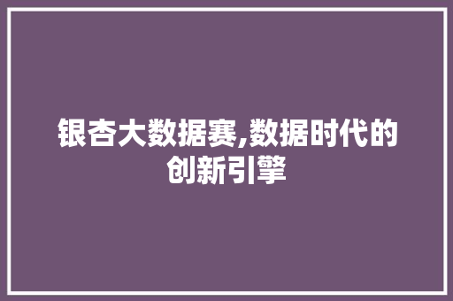 银杏大数据赛,数据时代的创新引擎