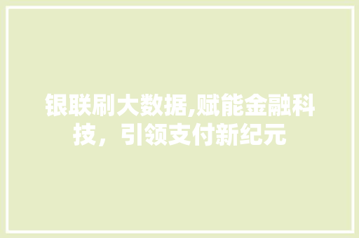 银联刷大数据,赋能金融科技，引领支付新纪元