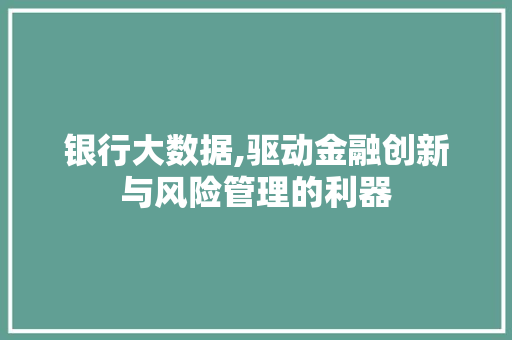 银行大数据,驱动金融创新与风险管理的利器 GoogleSEO