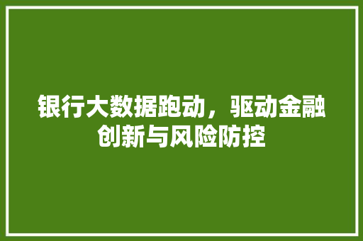 银行大数据跑动，驱动金融创新与风险防控 神马SEO