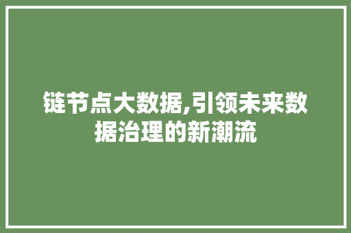 链节点大数据,引领未来数据治理的新潮流