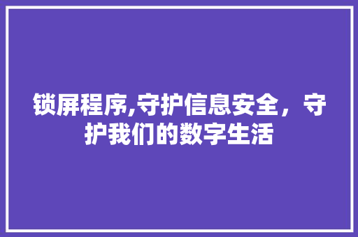 锁屏程序,守护信息安全，守护我们的数字生活 GoogleSEO