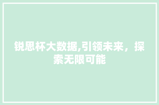 锐思杯大数据,引领未来，探索无限可能