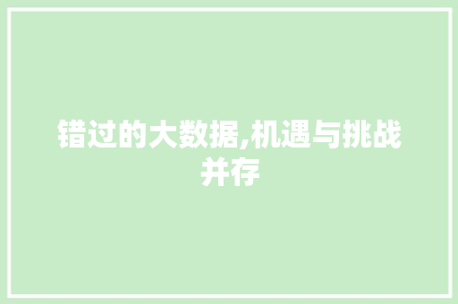 错过的大数据,机遇与挑战并存 必应SEO