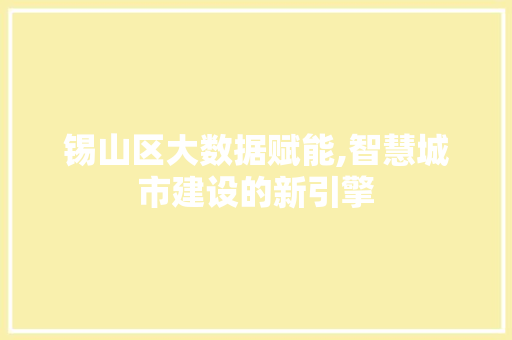 锡山区大数据赋能,智慧城市建设的新引擎 GoogleSEO