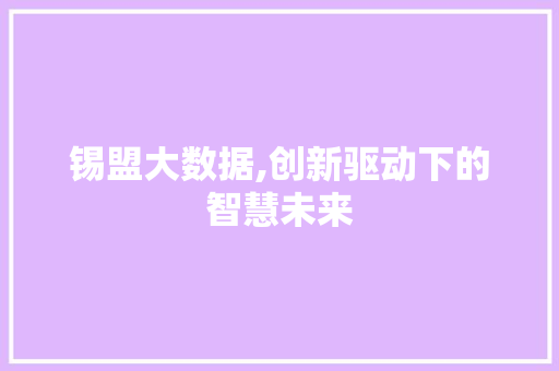 锡盟大数据,创新驱动下的智慧未来 GoogleSEO