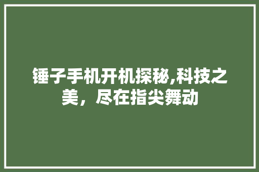 锤子手机开机探秘,科技之美，尽在指尖舞动 GoogleSEO