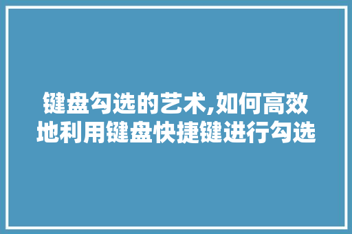 键盘勾选的艺术,如何高效地利用键盘快捷键进行勾选操作 GoogleSEO