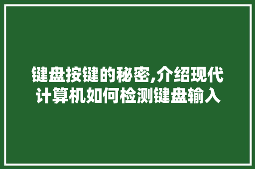 键盘按键的秘密,介绍现代计算机如何检测键盘输入 神马SEO
