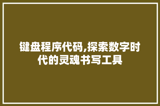 键盘程序代码,探索数字时代的灵魂书写工具 GoogleSEO