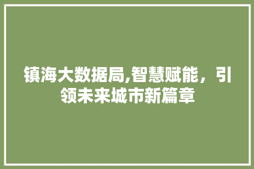 镇海大数据局,智慧赋能，引领未来城市新篇章
