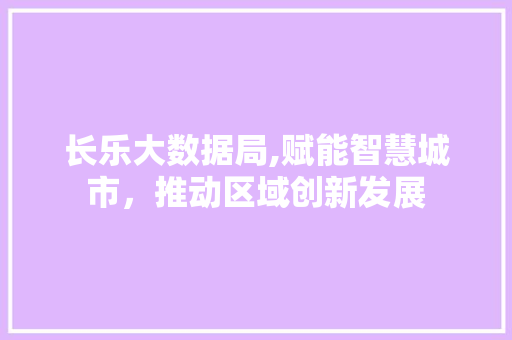 长乐大数据局,赋能智慧城市，推动区域创新发展