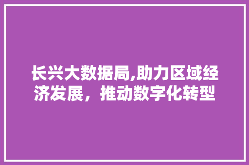 长兴大数据局,助力区域经济发展，推动数字化转型