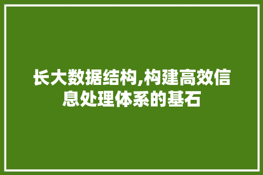 长大数据结构,构建高效信息处理体系的基石 GoogleSEO