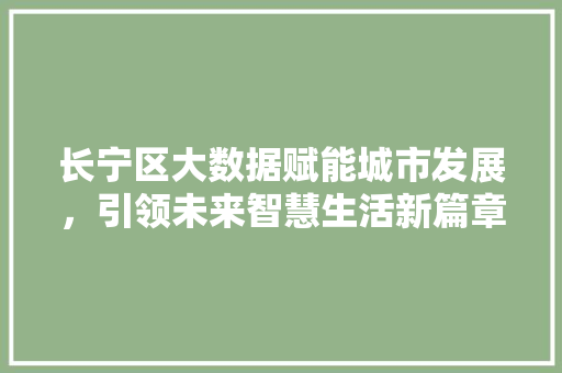 长宁区大数据赋能城市发展，引领未来智慧生活新篇章 必应SEO