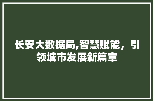 长安大数据局,智慧赋能，引领城市发展新篇章 百度SEO