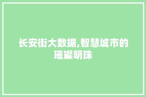 长安街大数据,智慧城市的璀璨明珠 GoogleSEO