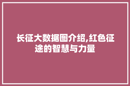 长征大数据图介绍,红色征途的智慧与力量