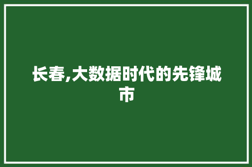长春,大数据时代的先锋城市 神马SEO