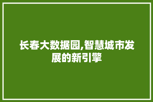 长春大数据园,智慧城市发展的新引擎 必应SEO