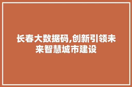 长春大数据码,创新引领未来智慧城市建设